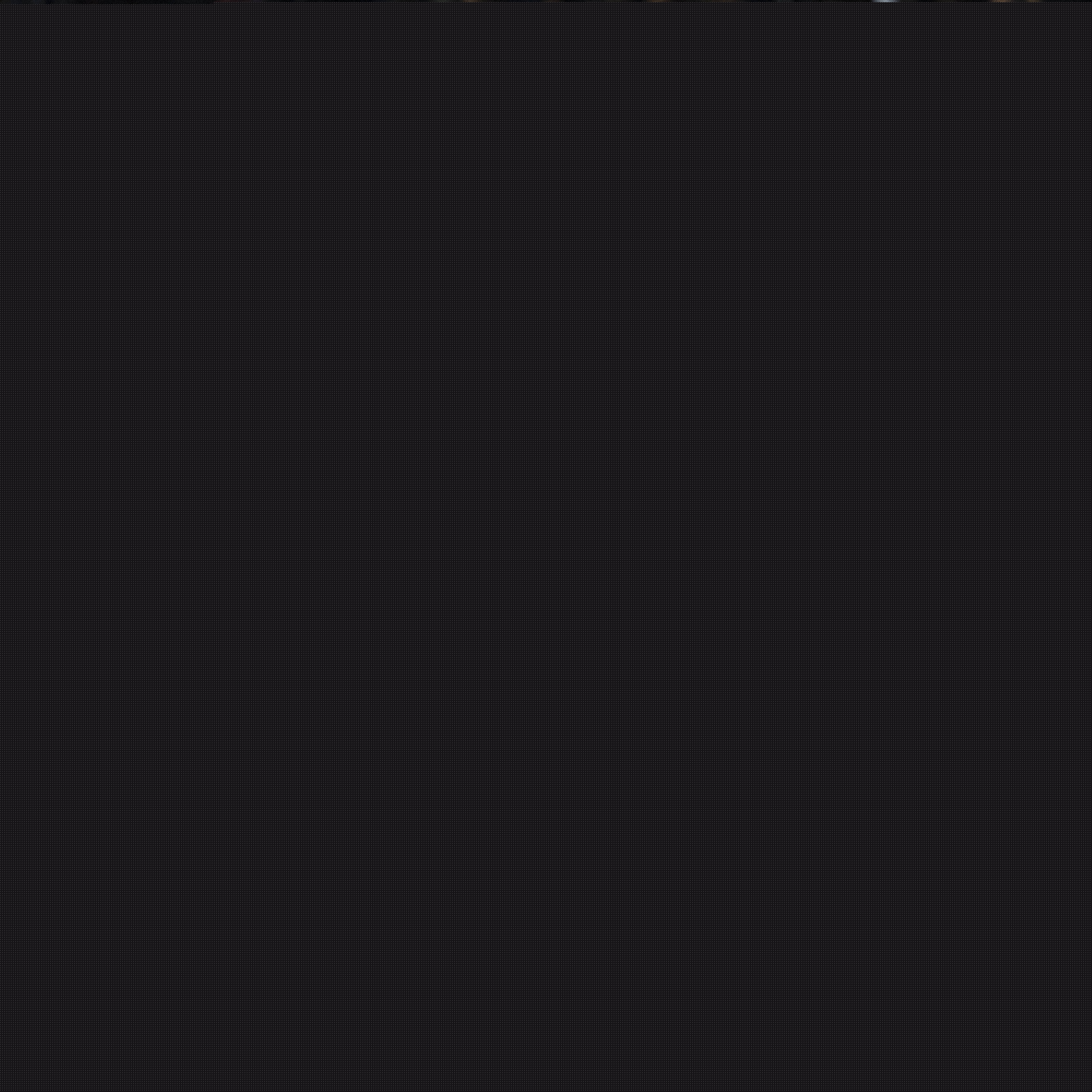 练风格的改